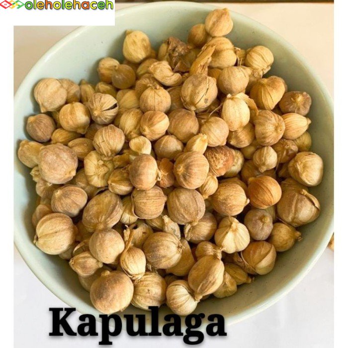 

kapulaga Aceh 100 gram | bahan masak Aceh | bumbu masak aceh