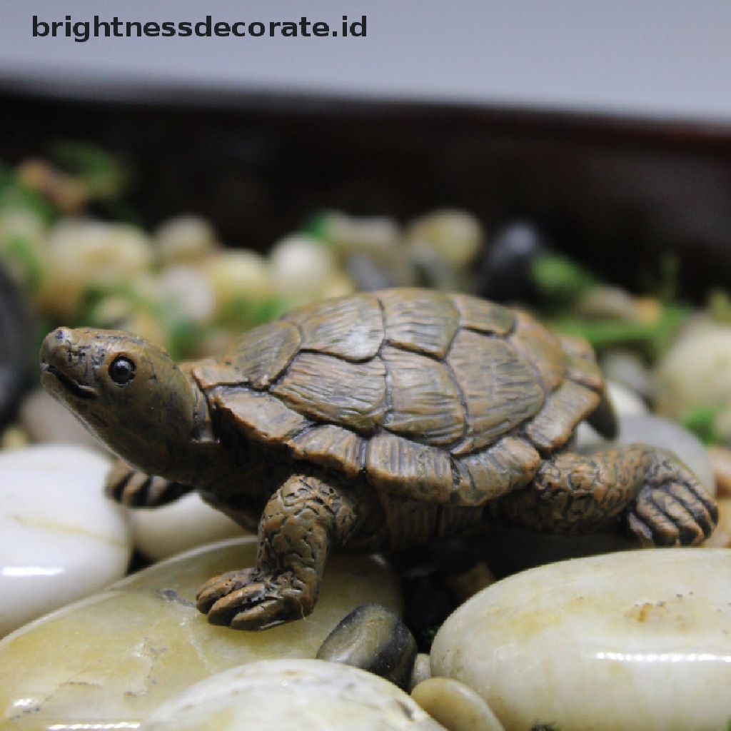 [Birth] Patung Kura-Kura animal Miniatur Angka Dekorasi Patung Hewan Kerajinan resin [ID]