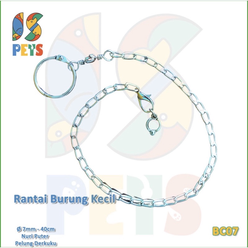 Rantai Burung Nuri Puter Derkuku 7mm Ikat Kaki Ring Besi Training BC07