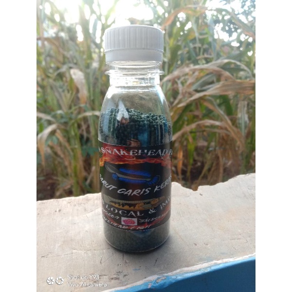 Pelet Premium Jahat Food Fish