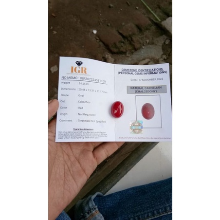 Red Baron Memo Lostone