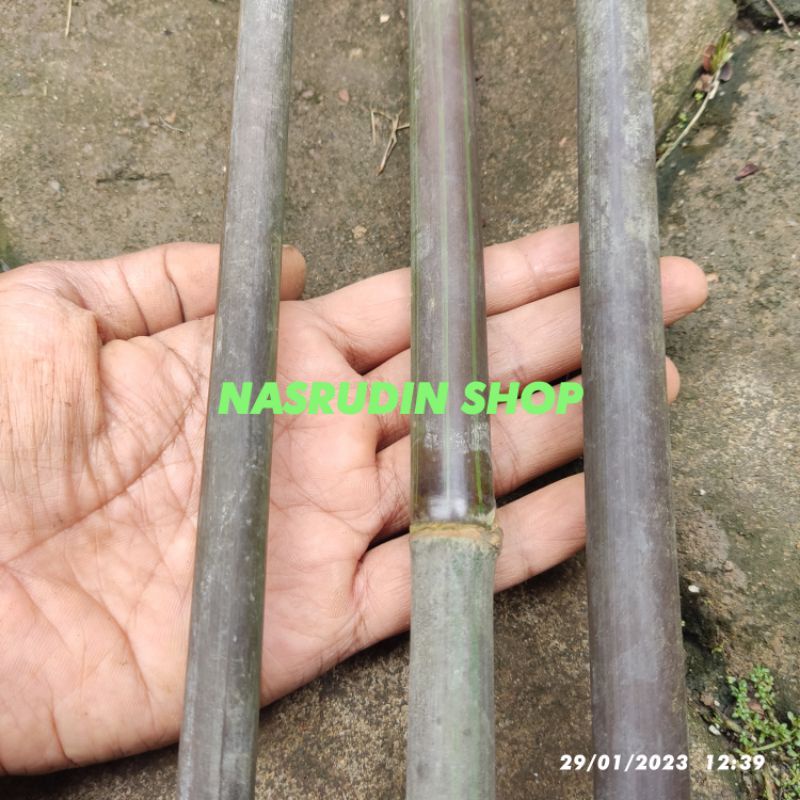 

[Fresh] POTONGAN TANGKAI BAMBU HITAM P 50 CM / D 1-1,5 CM POTONGAN BAMBU HITAM