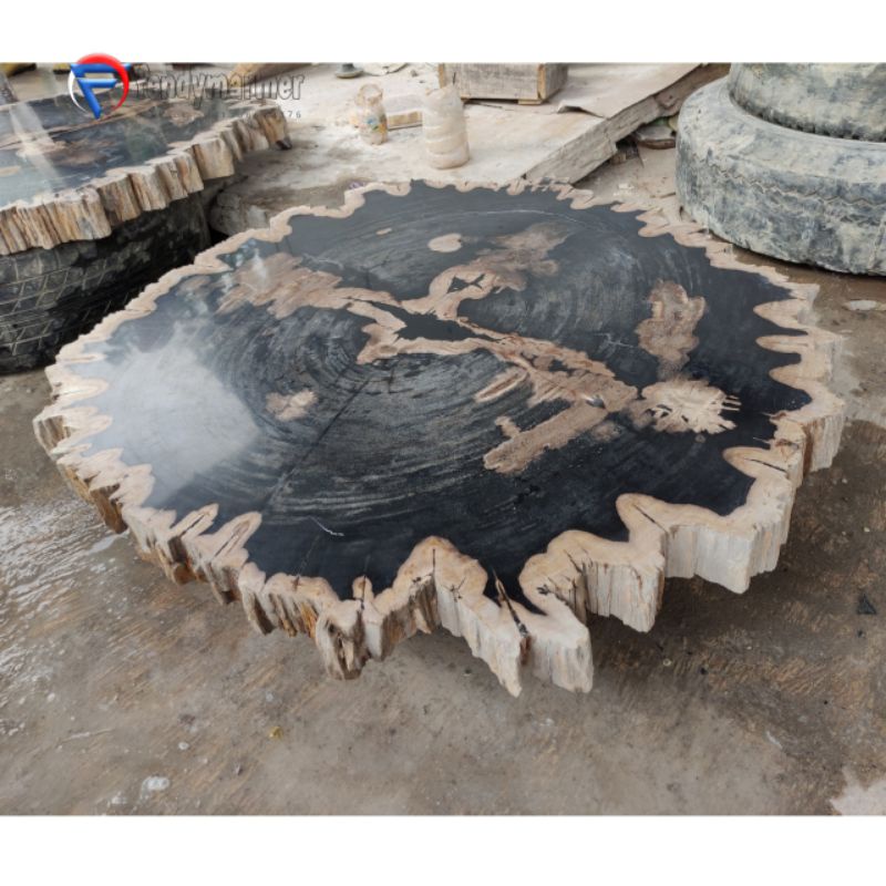 Daun meja bulat natural batu asli fosil kayu hitam petrified wood natural