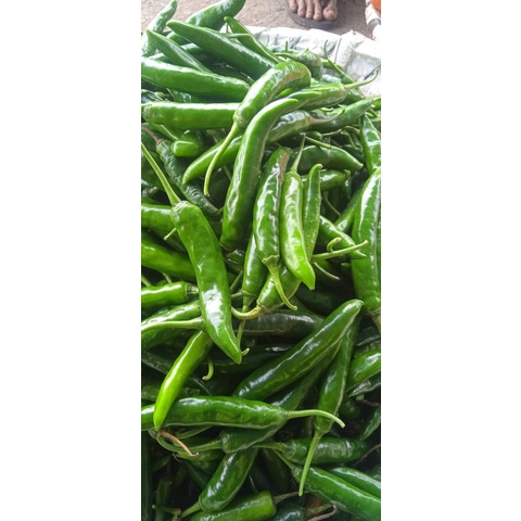 

Cabe Hijau TW Besar 250Gr