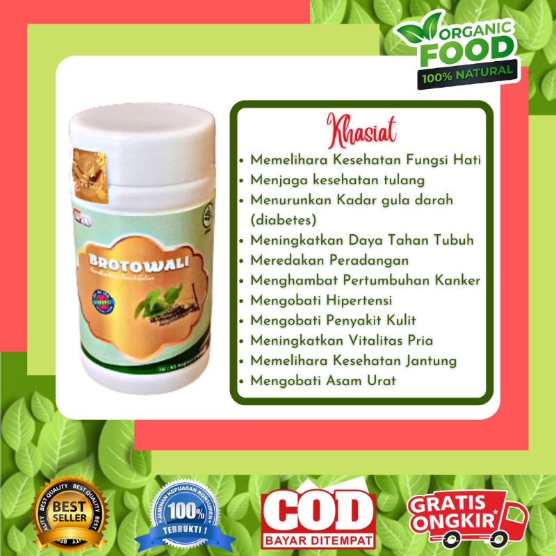 

Kapsul Herbal Brotowali untuk asam urat