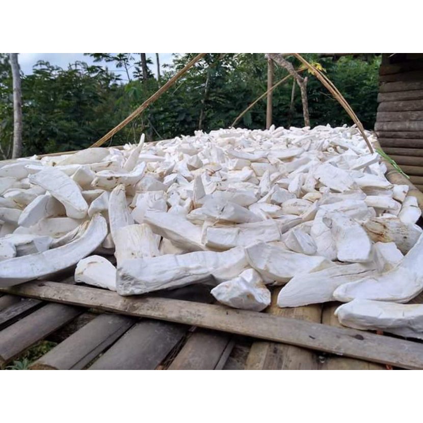 

tepung gaplek- 5kg