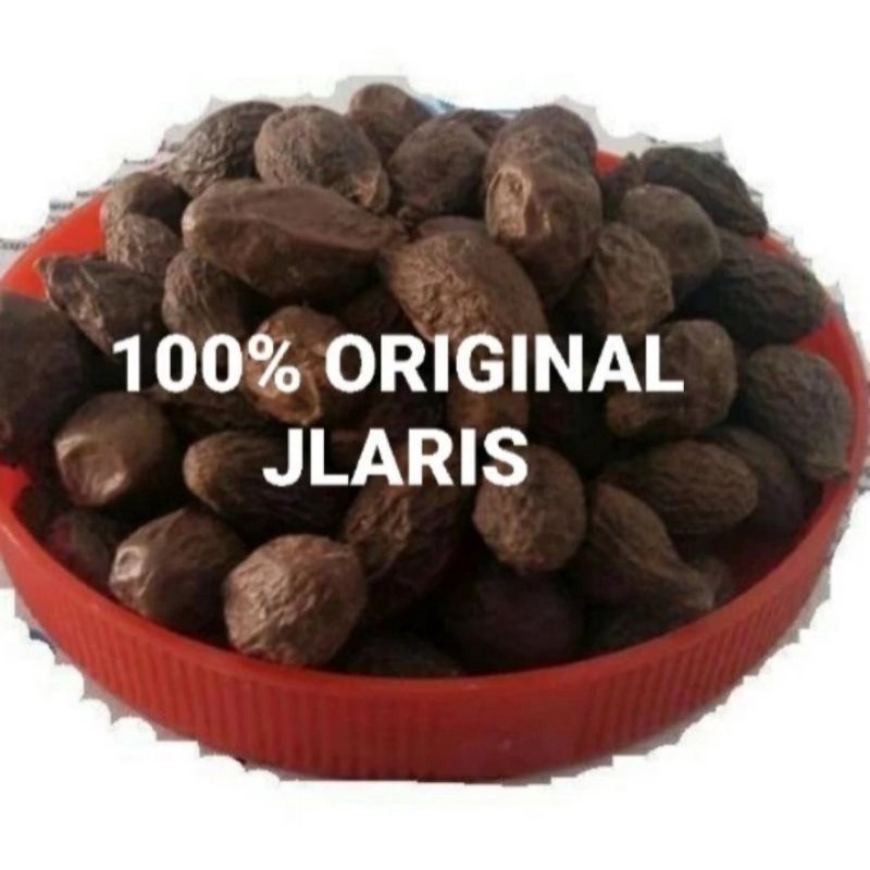 Buah Tempayang 100gr /Tempoyan/ Semangkuk / Beng Ta Hai//Bengkak