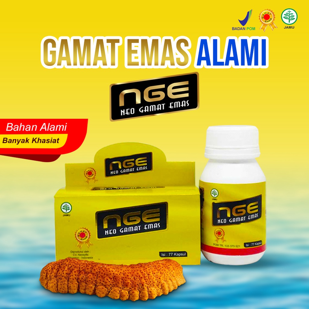Kapsul NGE - Kapsul Gamat NGE - Kapsul Neo Gamat Emas - Kapsul Gamat - 77 kapsul 50 Kapsul