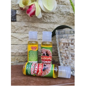 

☄️Super Sale 2.2☄️ Minyak Tokek Mbh minah