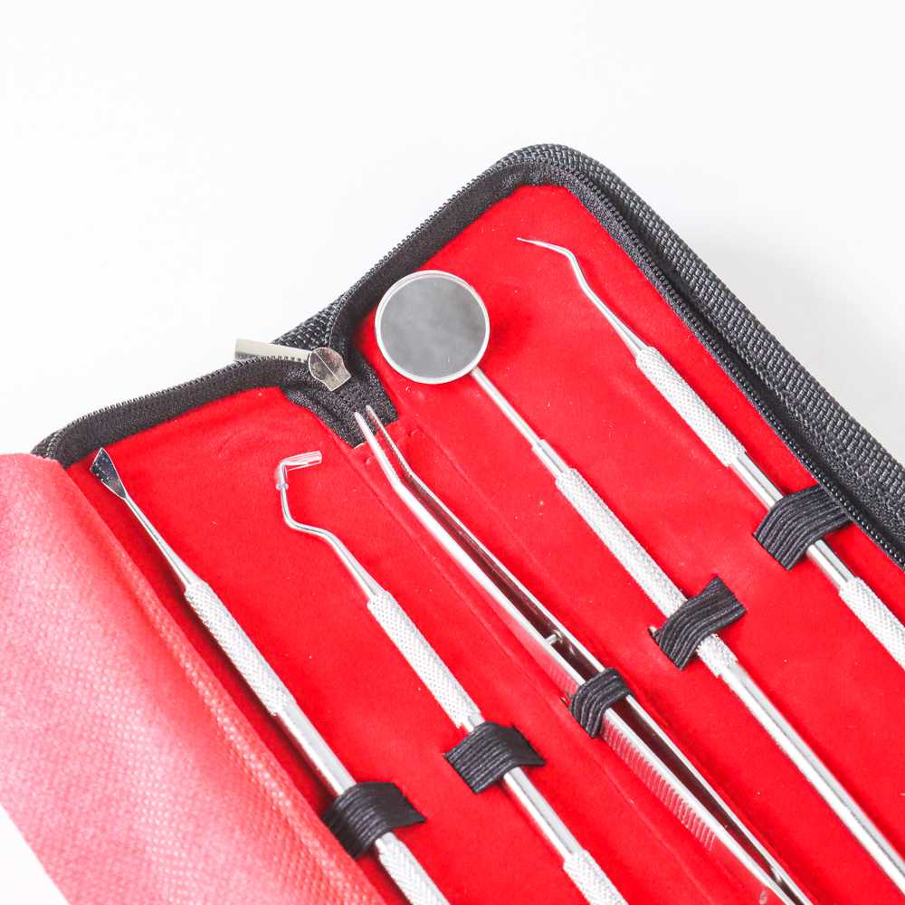 Set Alat Cek Periksa Gigi Dokter Oral Diagnostik 5in1