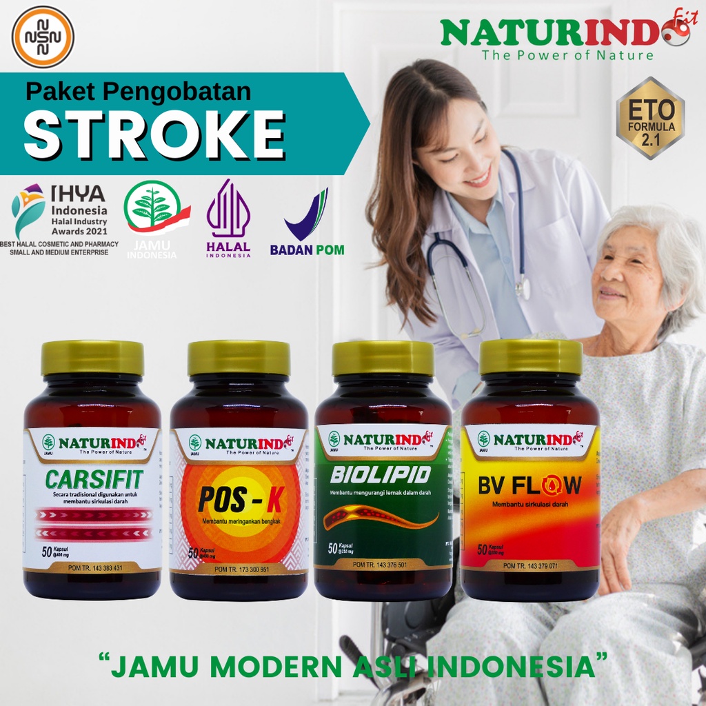 Paket Obat Herbal STROKE STRUKE STROK STRUK Solusi Alami Stroke Naturindo