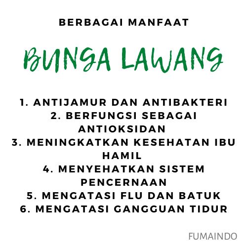 Bunga Lawang 50 gr / Pekak / Star Anise / Bumbu dapur / Rempah