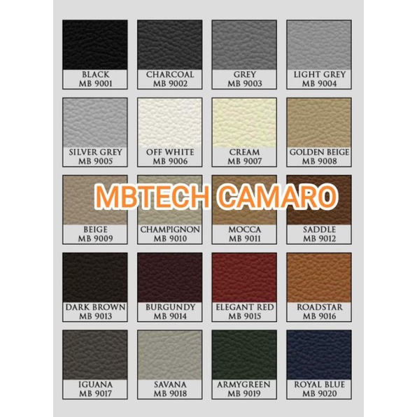 MBTECH Camaro/ ½Meter