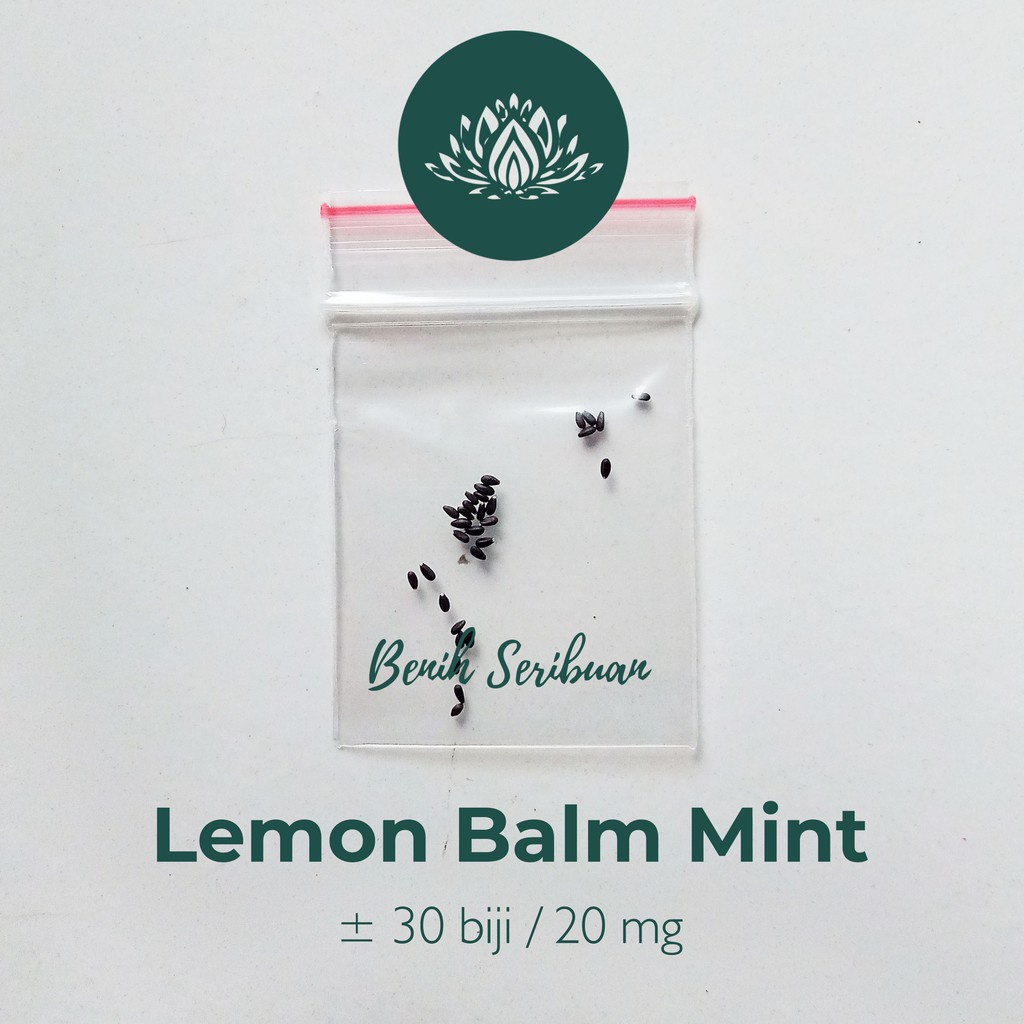 Benih Seribuan - 30 Bibit Herb Lemon Balm Mint Tanaman Herbal Unggul