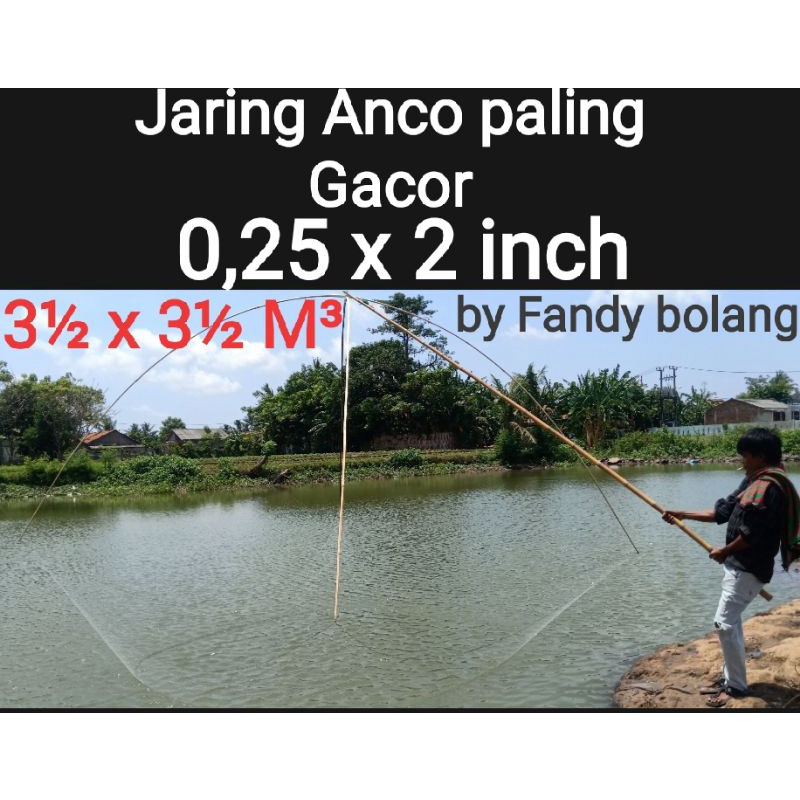 JARING ANCO  2inch 3½x 3½M 0,25