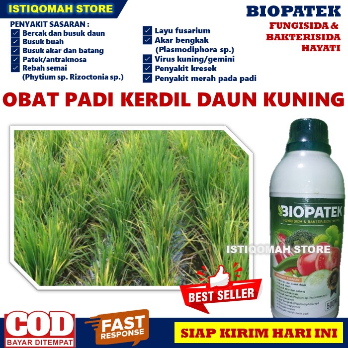 BIOPATEK 500ML Fungisida Obat Padi Kerdil Daun Kuning Terbaik Paling Ampuh - Fungisida &amp; Bakterisida Hayati Obat Padi Daun Kuning Kerdil - Obat Paling Ampuh Untuk Padi Kerdil Daun Menguning - Obat Hama Kresek Blas Hawar Padi Manjur