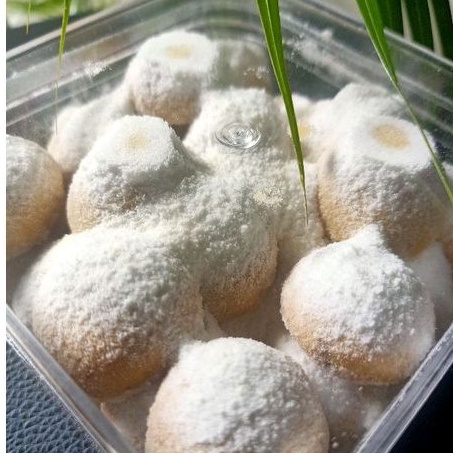 

Kue Kering Putri Salju Bertabur Salju 250 gram // Edam Cheese