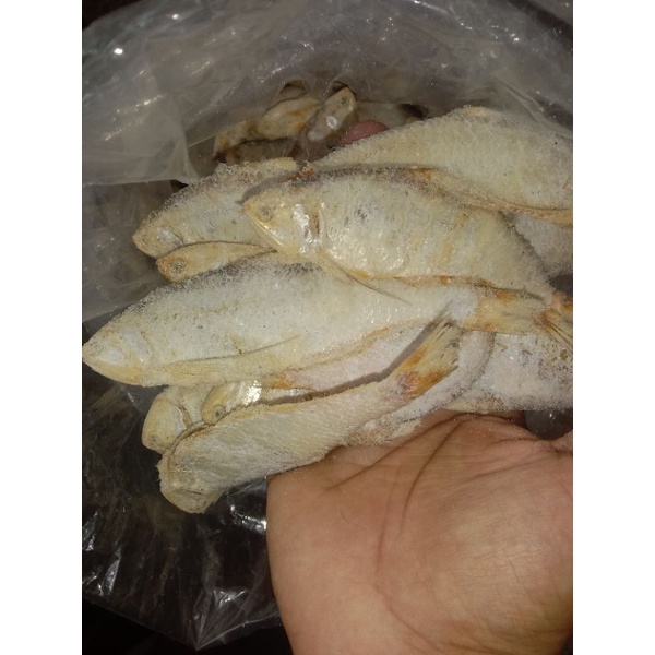 

IKAN ASIN KEMPET 250GRAM