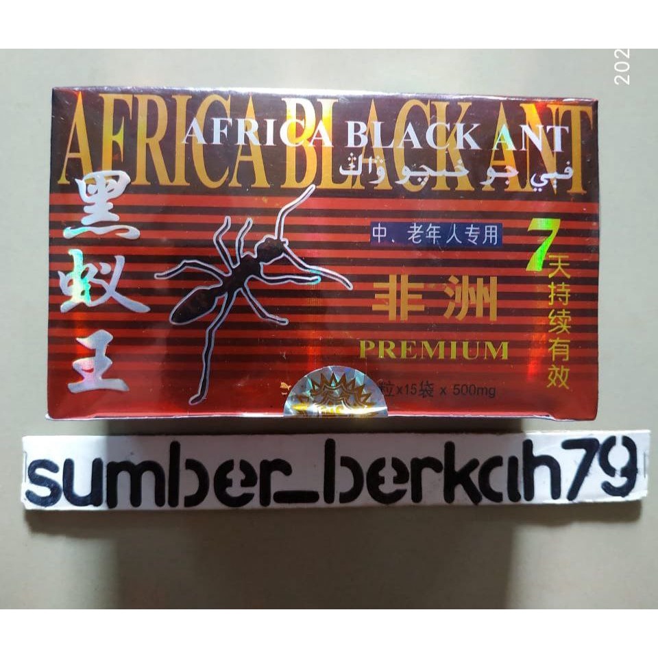 Africa Black Ant Premium / Semut 15 Original 100%