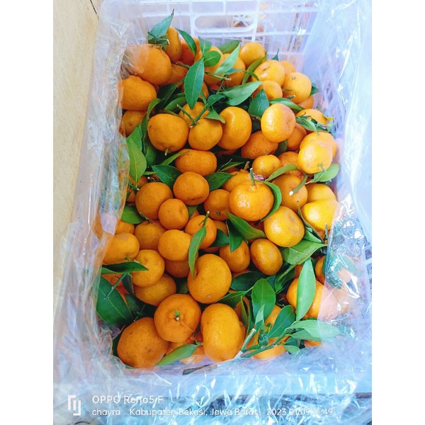 

shantang Daun manis 1kg