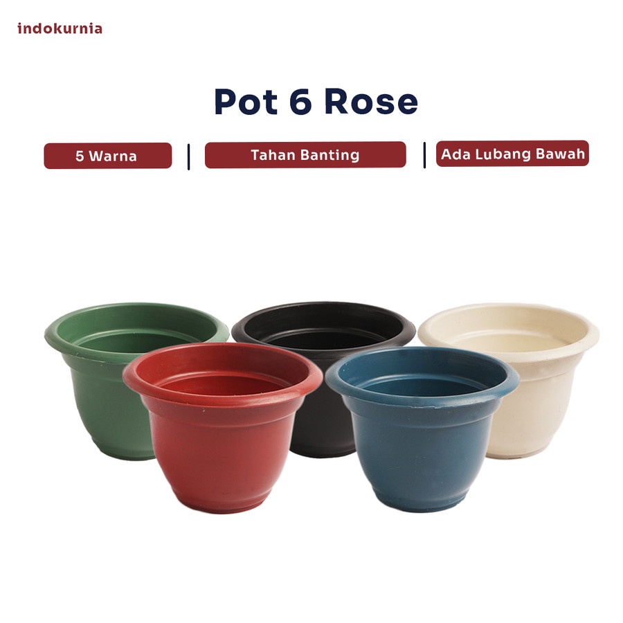 IK - POT BUNGA ROSE MAWAR 6 TERMURAH