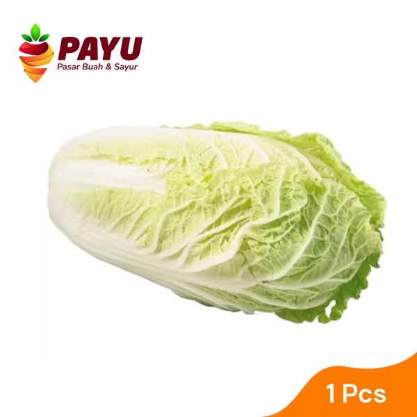 

PAYUFRESH | Sawi Putih 100% Fresh