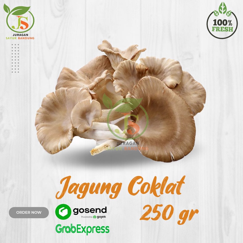 

Jamur Coklat 250 gr