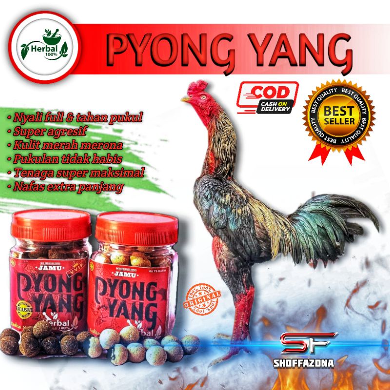 Pyongyang Jamu Doping Ayam Laga Aduan Bangkok Super Premium