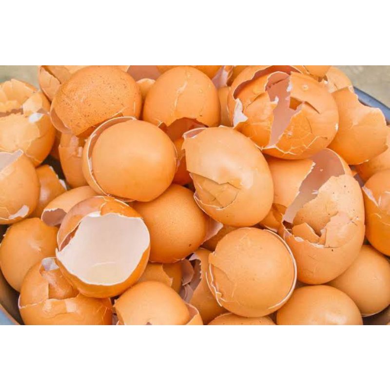 

Kulit telur ayam 1 Kilo