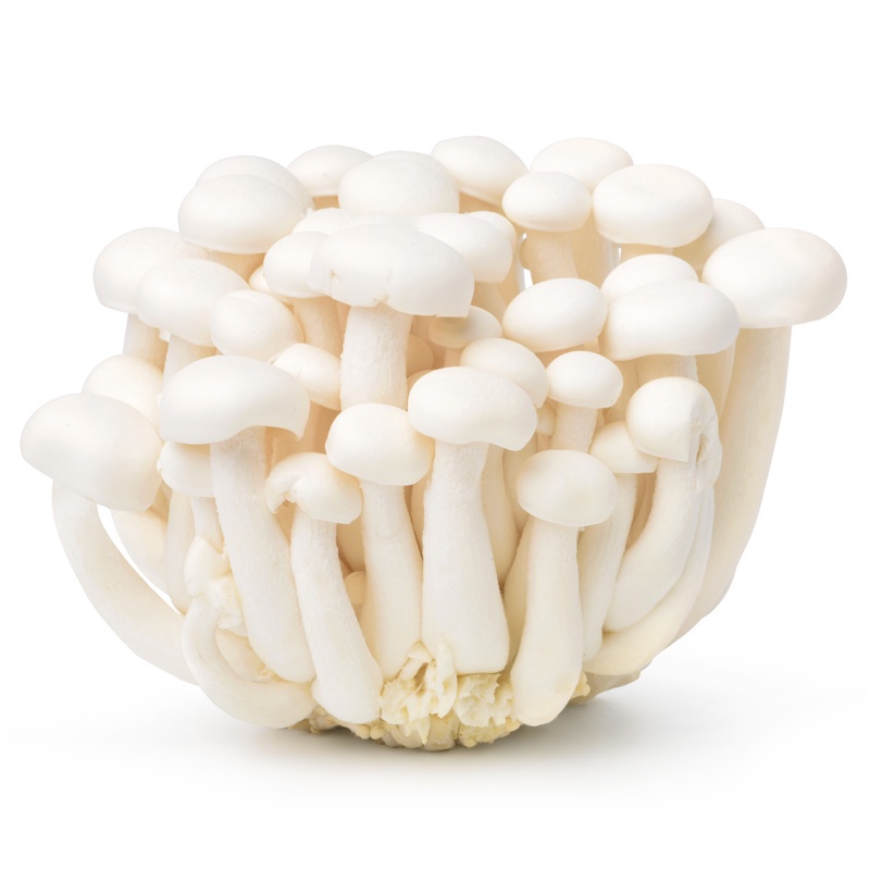 

White Shimeji Mushroom / Shimeji Putih 150 gr