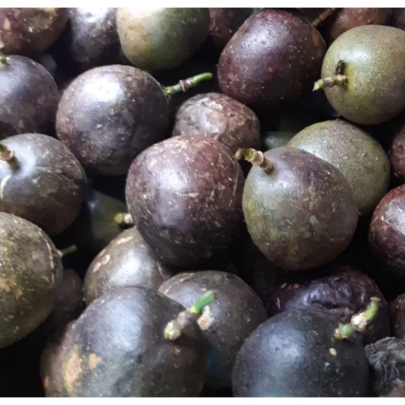 

markisa jus 1 kg