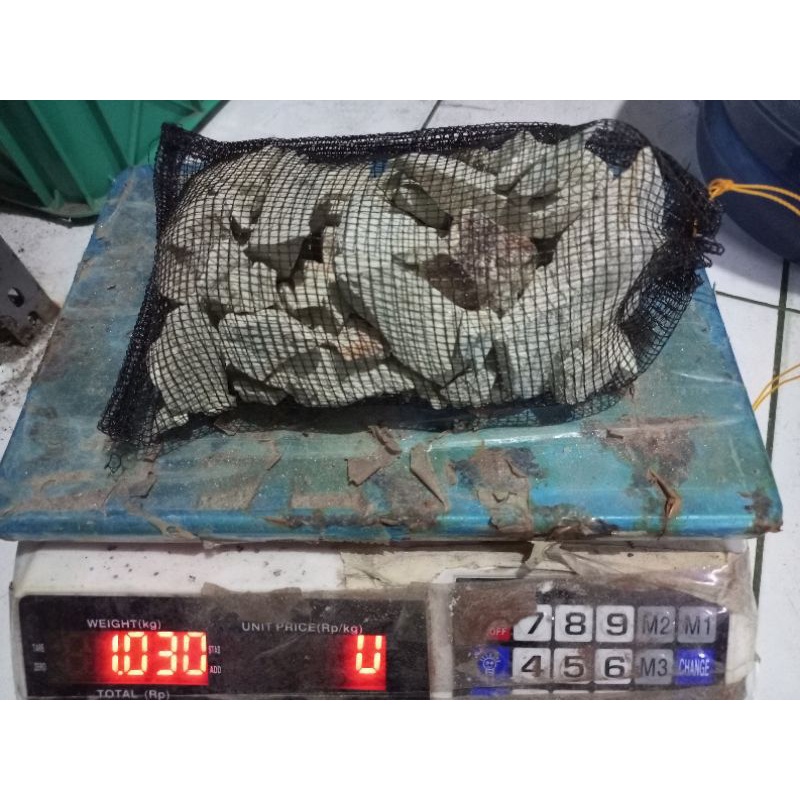 Batu zeolit 1 kg plus waring / batu zeolit / media filter / media filter kolam ikan / media filter aquarium / media filter kolam koi / filter aquarium / filter