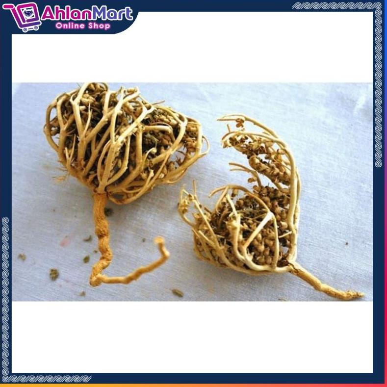 

[COD] S091S091 HERBAL PELANCAR PERSALINAN RUMPUT FATIMAH SANGAT BAGUS BUAT IBU HAMIL JUGA, ORIGINAL ARAB SAUDI ➻Ready Stock