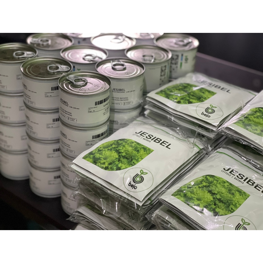 Benih Bejo Seed - Selada Batavia Jesibel; kemasan 1000 seed