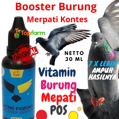 Doping Merpati Kolong 30mL / Doping Merpati Pos / Vitamin Burung Merpati Kolong / Doping Merpati Bal