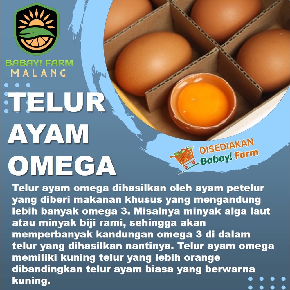 

Telur Ayam Negeri Omega 3 / Telor Negri Super Omega 3