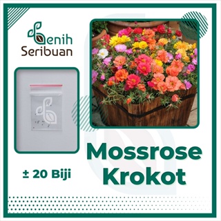 20 Benih Bunga Mossrose Mix Krokot Bibit Tanaman Hias Moss Rose Portulaca Mix Import Premium Seed