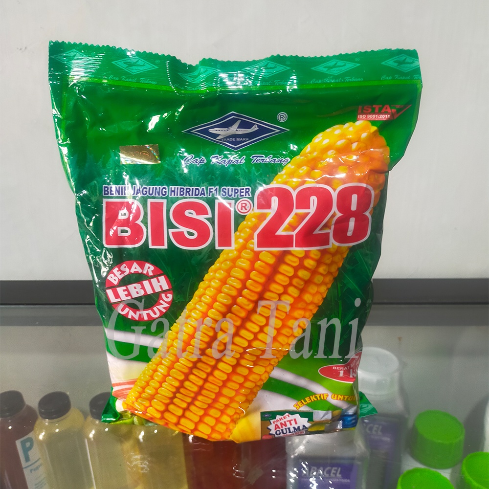 benih jagung Bisi 228 Benih jagung hibrida F1 super