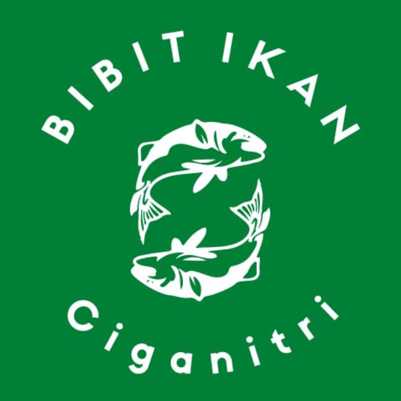 bibit ikan lele percangkir