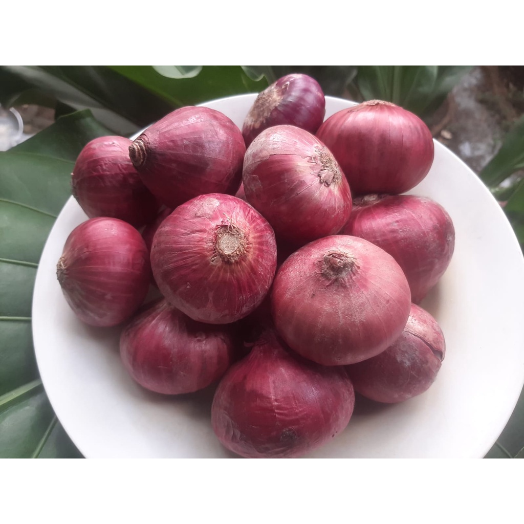 

Bawang Merah Pakistan