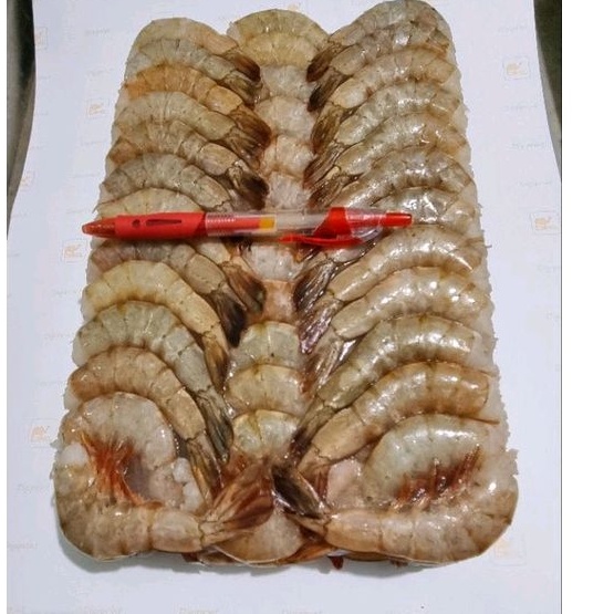 

Udang Vaname HL blok / Udang Vaname 2kg