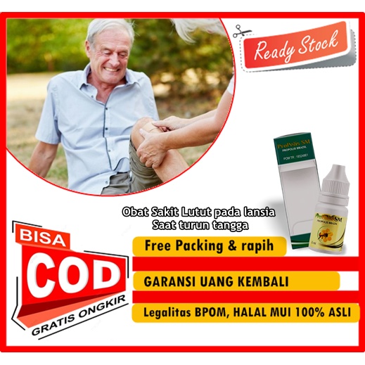 PROPOLIS SM - Obat Sakit Lutut pada lansia Saat turun tangga, Obat Tradisional Pengapuran Tulang Lut