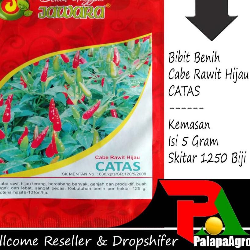 Depan1 cabe rawit pedas - benih cabe rawit hijau catas 5gram - bibit cabe rawit super unggul