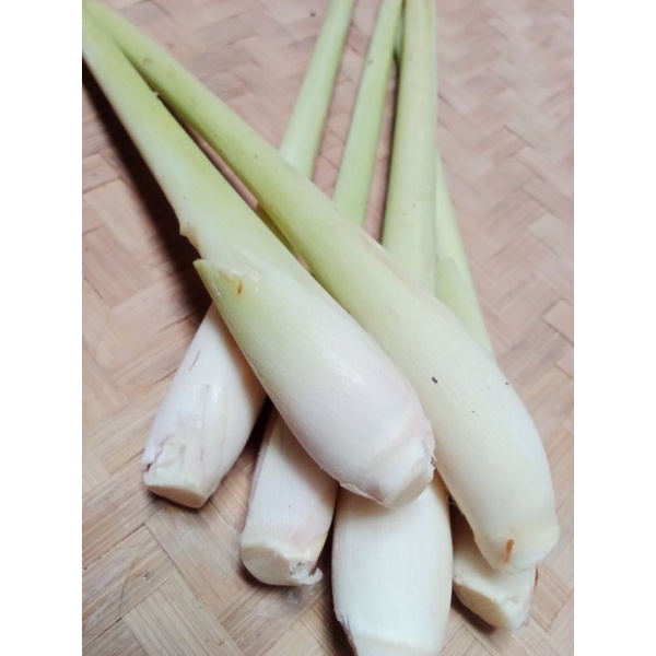 

sereh/bumbu dapur/empon2