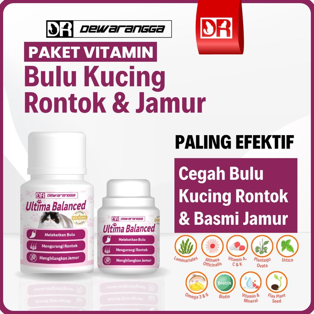 Vitamin Bulu Kucing Rontok dan Jamur Dewarangga - Obat Bulu Kucing Rontok