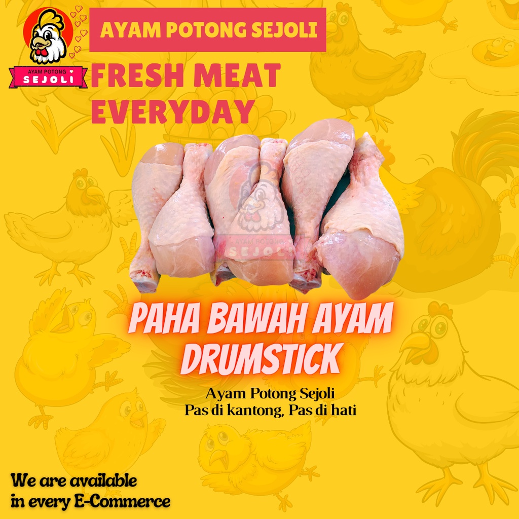 

Paha Bawah Ayam Boiler / Drumstick Chicken Fresh