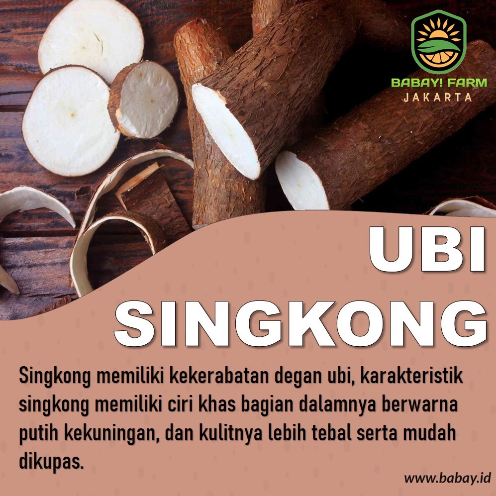 

singkong 250 500 gr / 1 kg