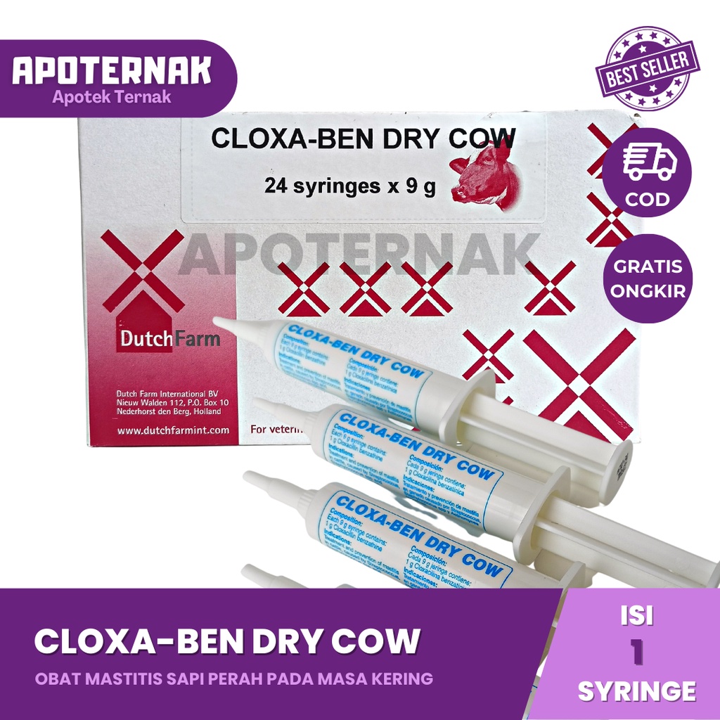 CLOXA BEN DRY COW | Obat Mastitis Radang Ambing Sapi Pada Masa Kering | Seperti Depolac | DUTCH FARM