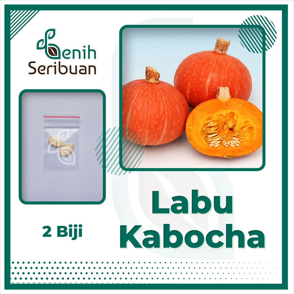 Benih Seribuan - 2 Bibit Buah Labu Kabocha Merah F1 Hibrida