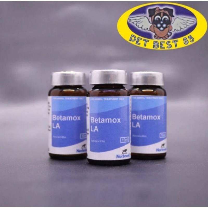 Betamox LA Amoxicillin 10ml Injection Suspension Anti Microba hewan